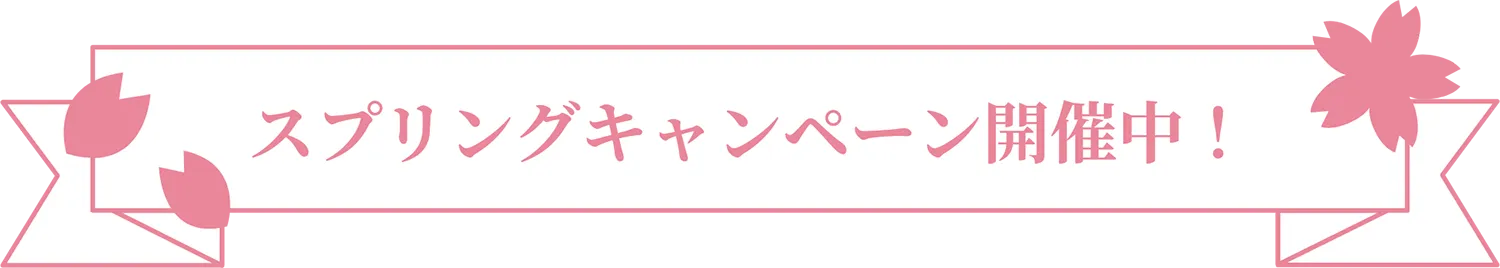 スプリングキャンペーン開催中！